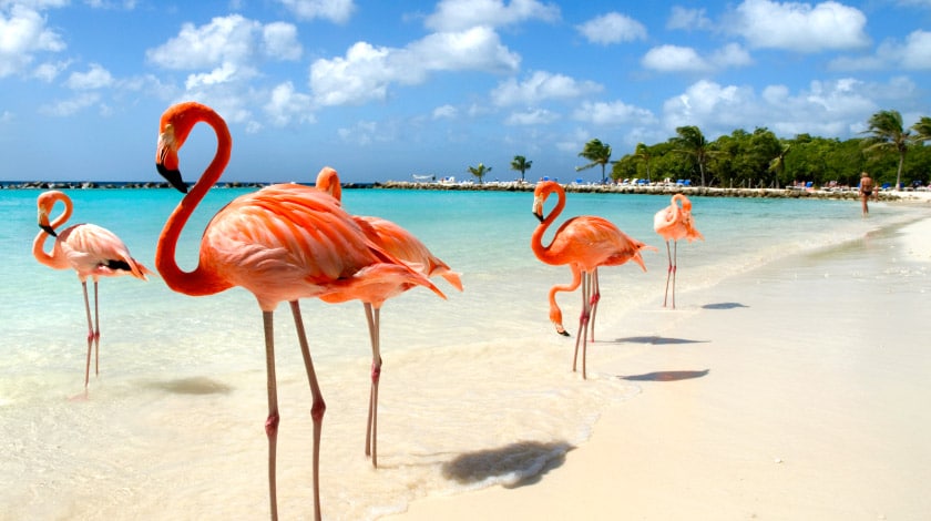 Aruba