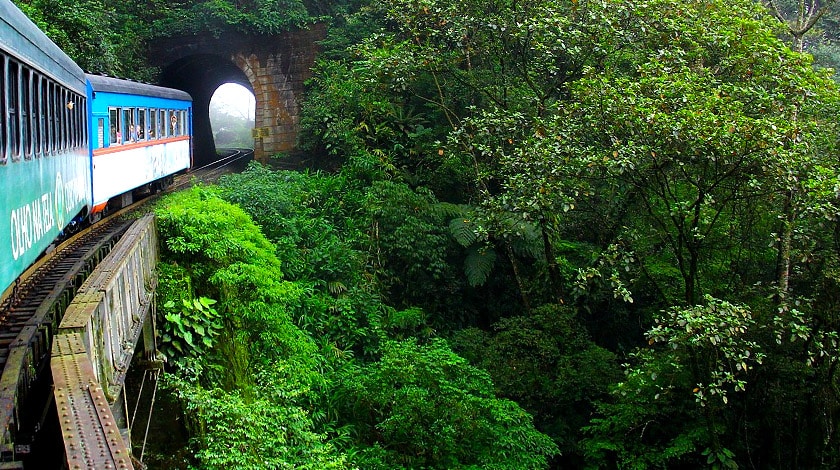 Serra do Mar - Paranaguá