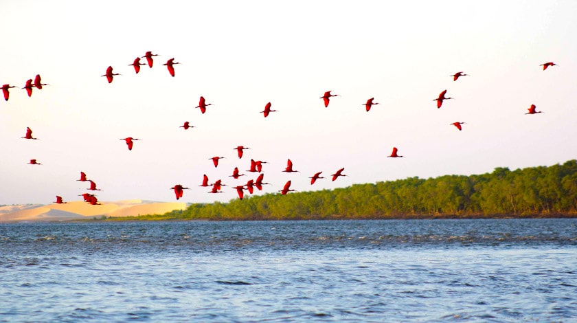 Delta do Parnaíba - Piauí - rota das emoções