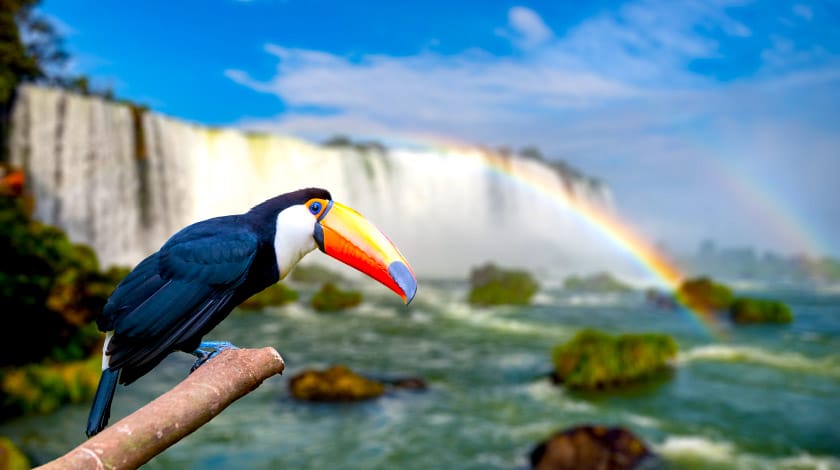 O que fazer em Foz do Iguaçu