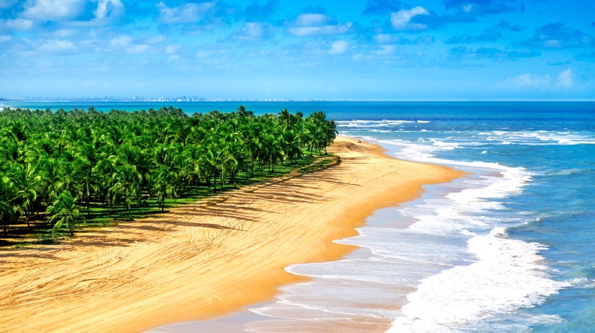 Praia com coqueiros em Barra de São Miguel