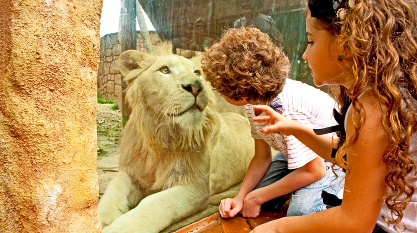 Zoológico do Beto Carrero World