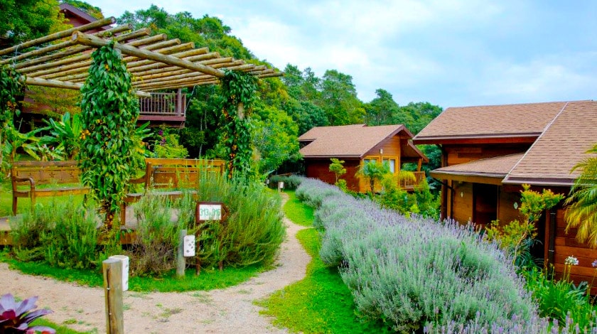 SPaventura Eco Resort. Summertime