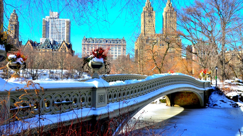 Vista para paisagem de Nova York repleta de neve