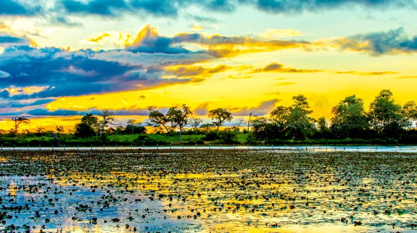 Pôr do Sol no Pantanal, destino perfeito para viajar em março