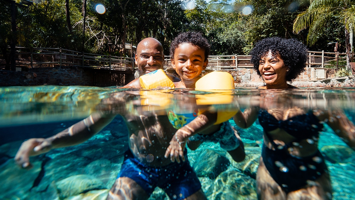 Dia com a família no: Águas correntes Park. 