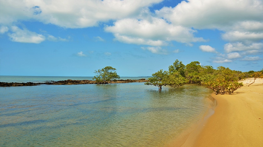 Foto panorâmica da Praia de Santo André com árvores e mar ao fundo