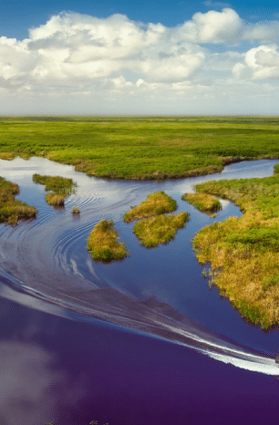 Pantanal: as belezas naturais que roubaram a cena na novela