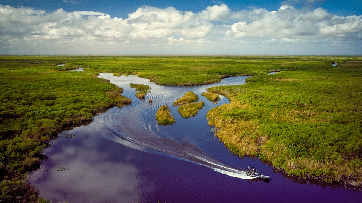 Maravilhas naturais imperdíveis nos Everglades