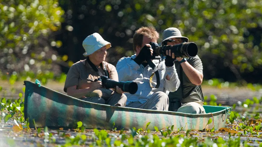 Safári fotográfico no Pantanal.