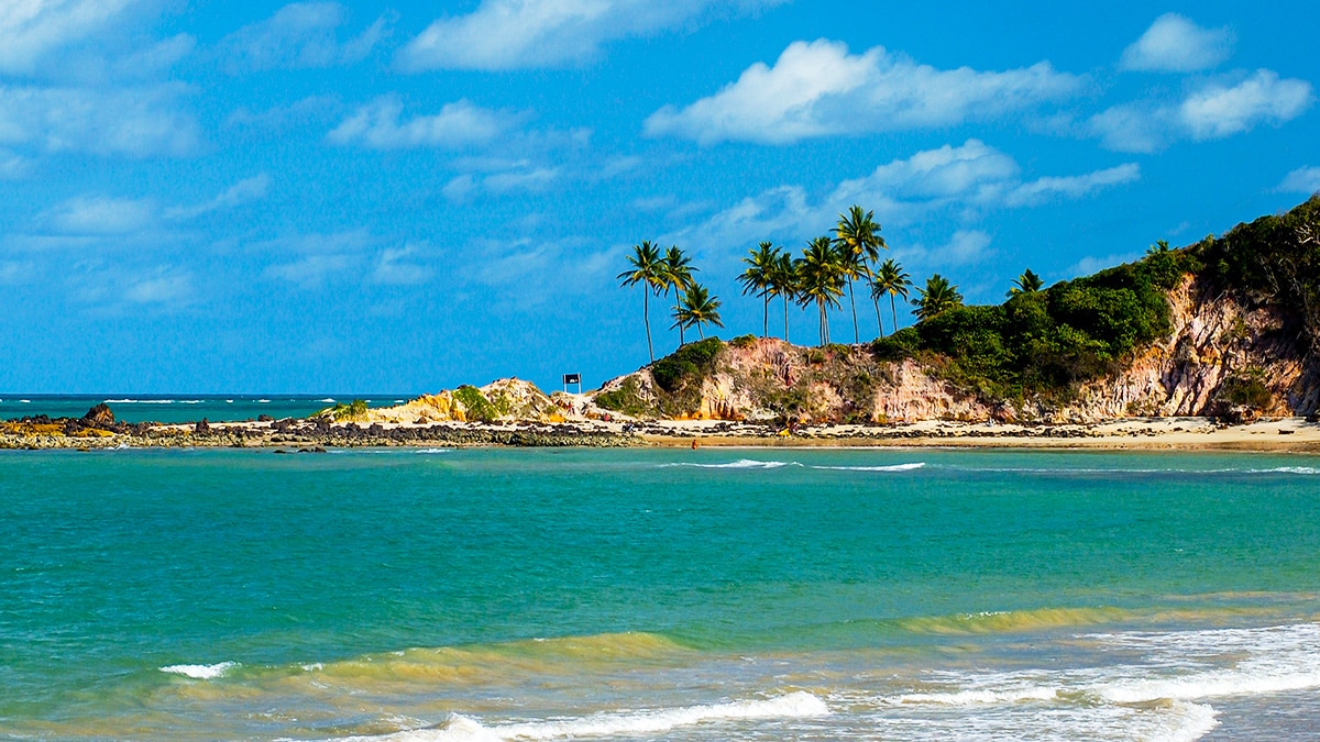 Árvore de natal Costa e Silva Praia Grande, By Praia Grande e Região.