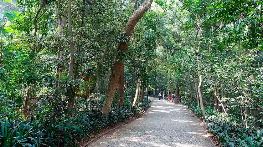 Parque Tenente Siqueira Campos