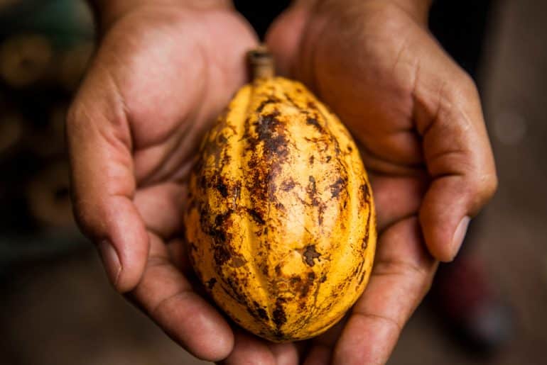 Rota do Chocolate: 5 destinos no Brasil para quem é fã do doce