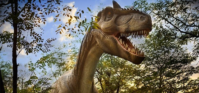 Vale dos Dinossauros - Gramado 