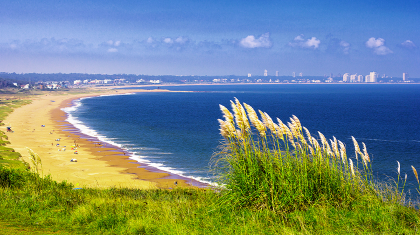 Enosturismo em Punta del Este.