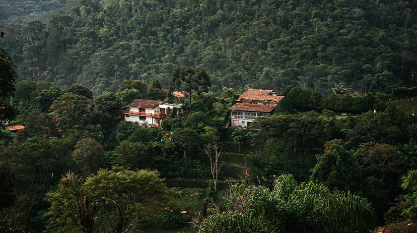 Monte Verde na Serra da Mantiqueira.