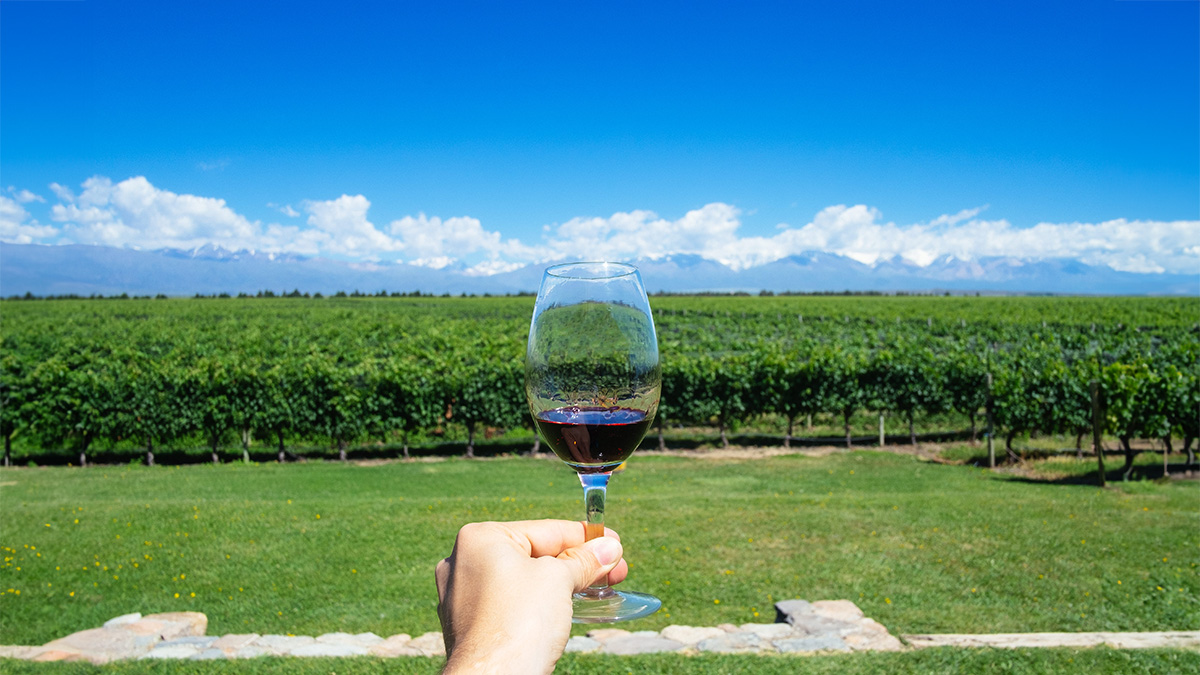 Enoturismo: 10 destinos irresistíveis no Brasil e na América do Sul