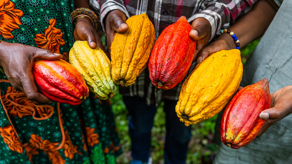Rota do Chocolate: 5 destinos no Brasil para quem é fã do doce