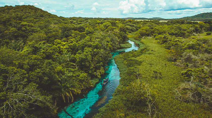 Bonito, MS.